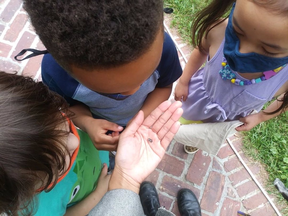 PennCharter's tweet photo. Our students find it on our campus and just next door in the Wissahickon. #outdoorclassroom @FOWissahickon #natureinacity #exploreyourblock https://t.co/E4oRwGmPct