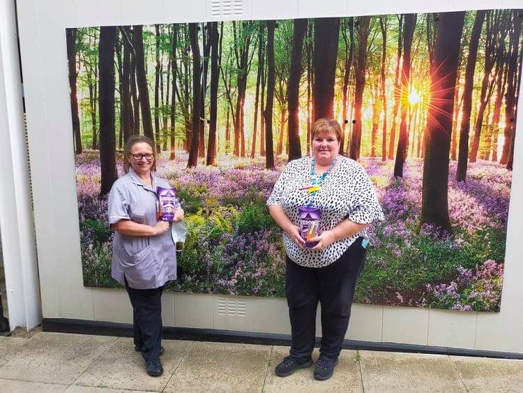 mandi-lee english tweet media