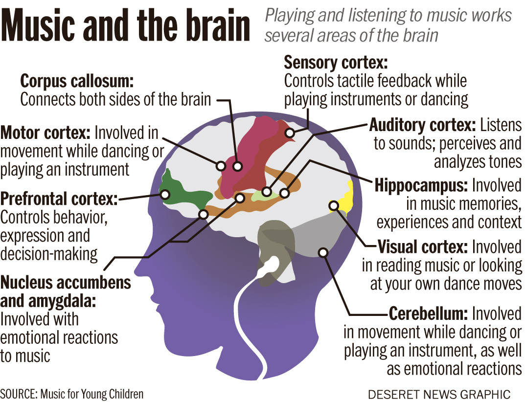 Please reTweet to raise awareness about the power of #music on the #brain.

#neuroscience #Alzheimers #dementia