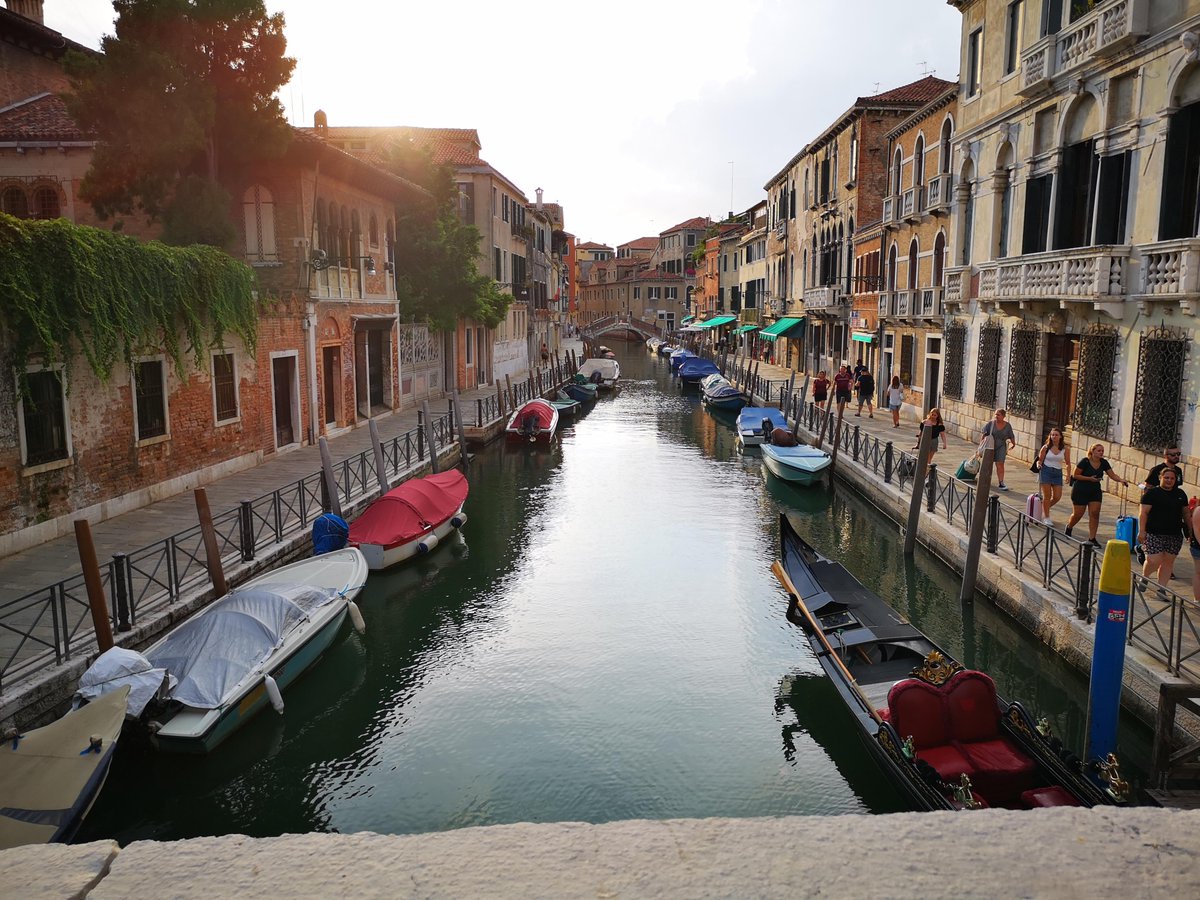 liveveniceweek's tweet photo. Water is the matter of life. It is matrix, mother and  medium. There is no life without water.
(Albert Szent-Gyorgyi)
Greetings from #Venice, where water is everything.

#liveinveniceweek #venezia1600 #liveinvenice #venicegram #instavenice #venezia #veniceitaly  #veneziagram https://t.co/jAaQfuiUZi