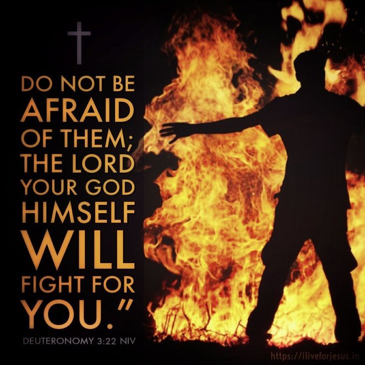 ministerricky1's tweet photo. God please #DeliverAndProtect us from evil & enemies
Please #BreakAllWeapons formed against us, #SilenceEveryTongue condemning us, be our #ShieldAndDefender
#SendYourHolyAngels #FightForUs
#MakeUsStrong #GiveUsYourVictory
In #JesusChrist's AllPowerful Name
TY
#EuropaAfricaUS https://t.co/7iZOY7aChV
