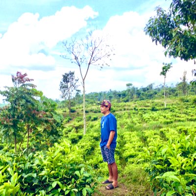 teguh budi santoso tweet media