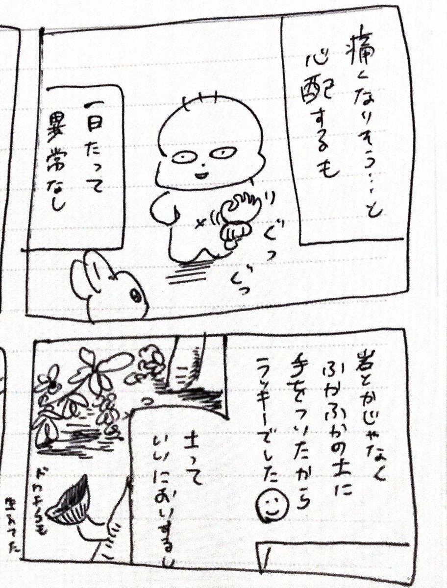 絵日記
林でこけて手を打つ
蛾を見つける 