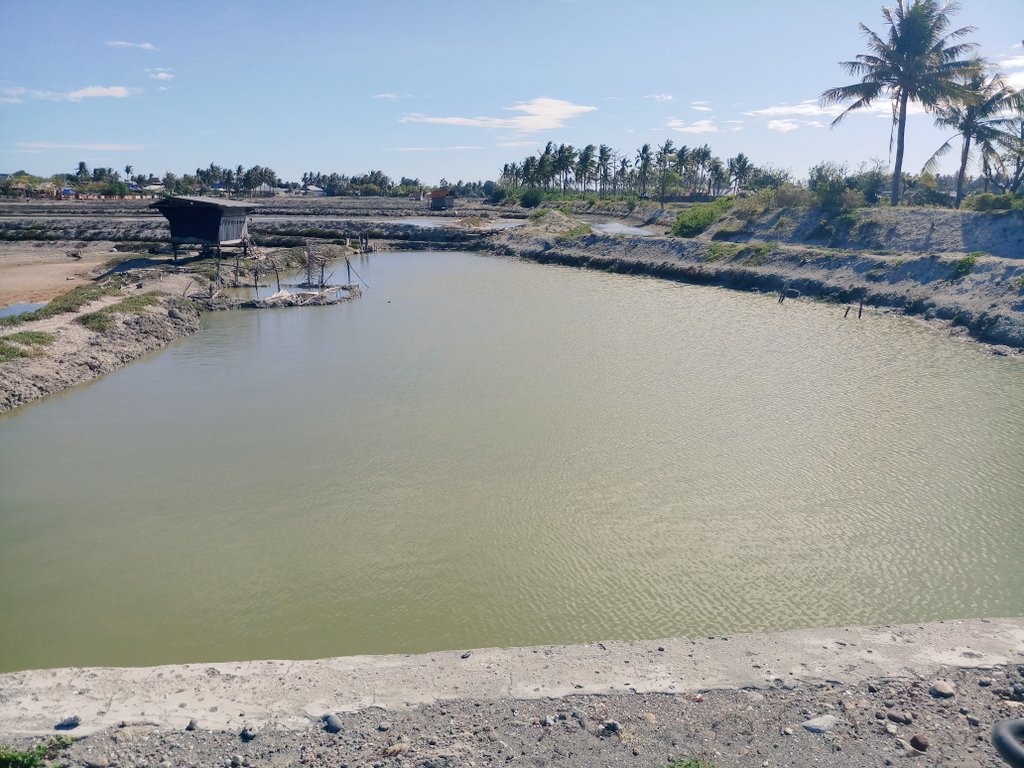 Hasriandi Fishery tweet media