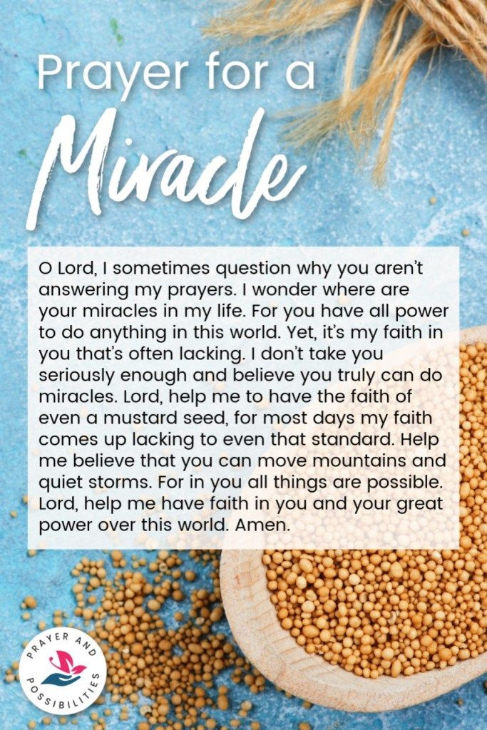 ministerricky1's tweet photo. God #YouProvidedForMe all my life

#RepeatedlyYouShowed Your grace #AtTheRightTime

Now there is a much bigger mountain

Please #HelpMeTrustYou to #ProvideYourSolution as I cannot do this on my own

Help me #ClingToChrist

In #JesusChrist's AllPowerful Name

TY
#EuropaAfricaUS https://t.co/Gf6v23Xvfi