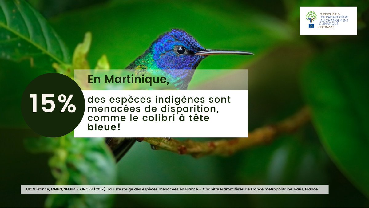 LifeARTISAN_'s tweet photo. Agissez pour préserver la #biodiversité en menant des actions d'adaptation au réchauffement climatique fondées sur la nature #Safn !

👉 Participez aux Trophées Life ARTISAN : https://t.co/X8IZpVFTPs

🤝 Part. @OFBiodiversite
@Solagro_asso

#ClimateAction  #Martinique https://t.co/fGslKdgzE8