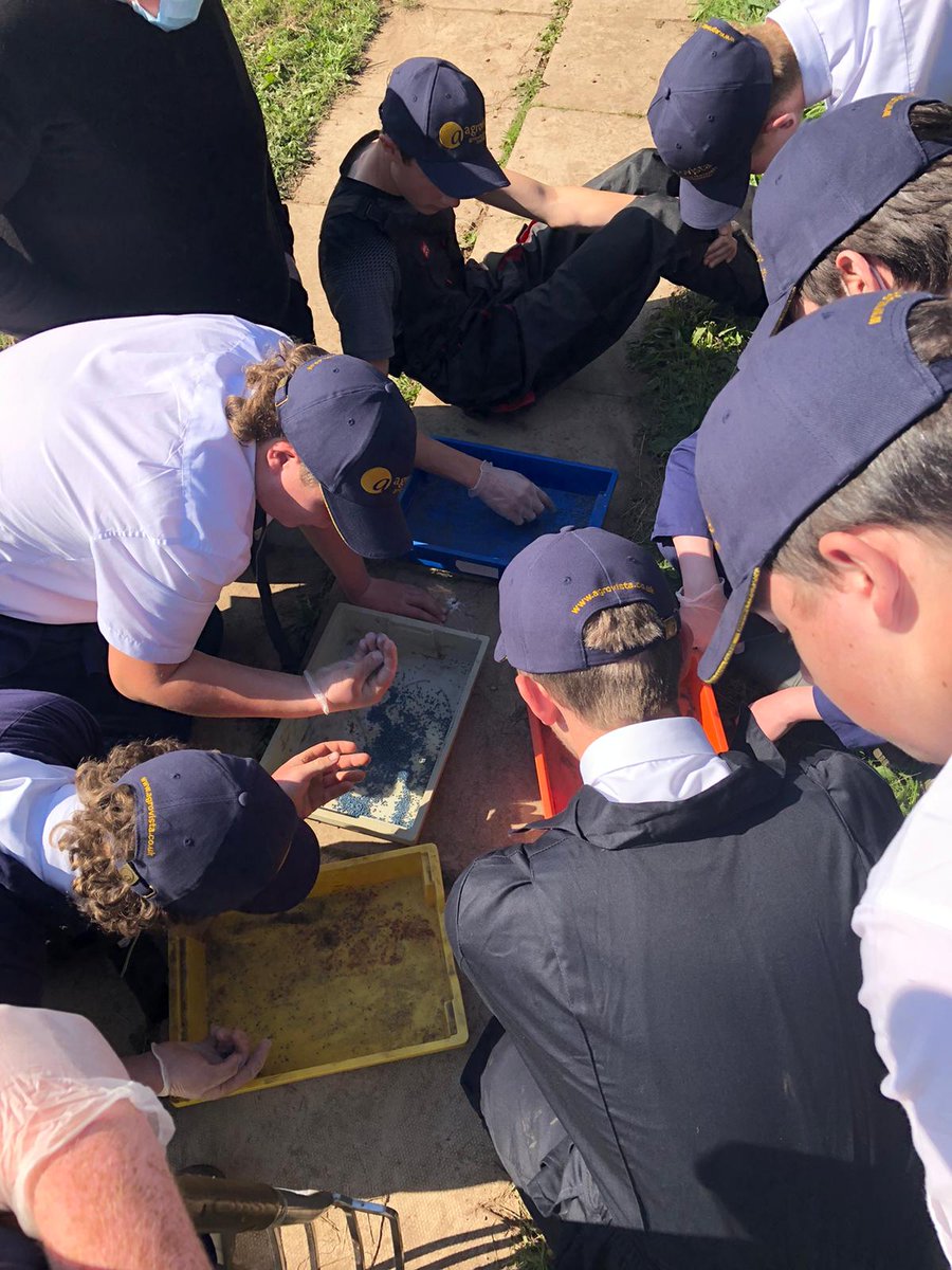 AgrovistaUK's tweet photo. Agronomist Peter Richardson helped pupils at Stranraer Academy doing their National 5 Rural course to understand crop production systems in the UK. The students sowed winter crops - OSR, winter barley &amp; winter wheat, and will see them going through the growth stages next spring. https://t.co/dYym0SMdKY
