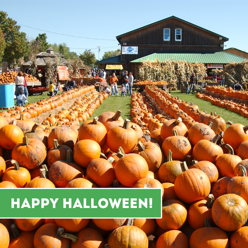 Happy Halloween! 🎃👻 

Who's visiting us on our last day??