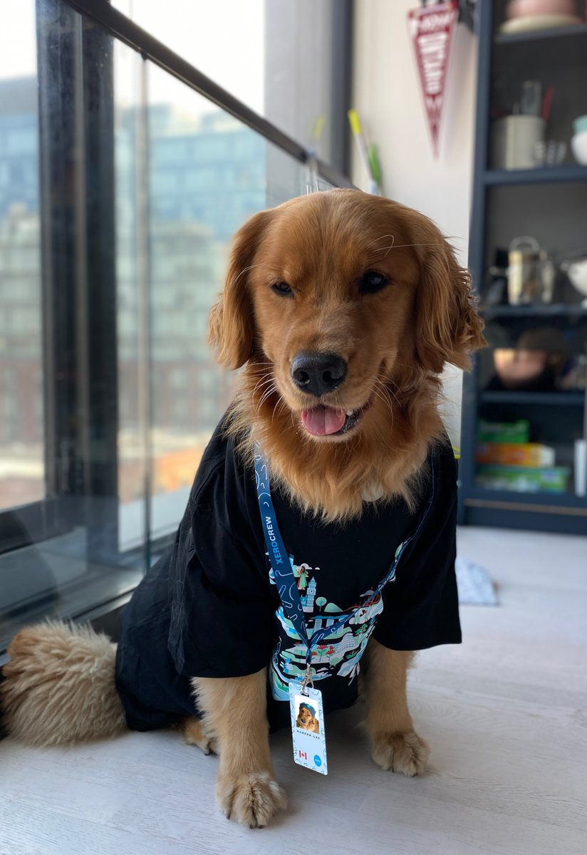 Xero tweet media