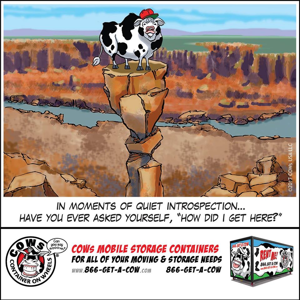 866GetACow's tweet photo. Don't introspect too long &amp; forget to book your move! Call COWs today for all your mooving &amp; storage needs!
https://t.co/gzLYVrl8ub or call 1(866) GET-A-COW

#COWsMobileStorage #RentACOW #Mooving #Moove #Moo #Moving #Storage #StorageContainers #LocalBusiness https://t.co/tOVPDYtiyc