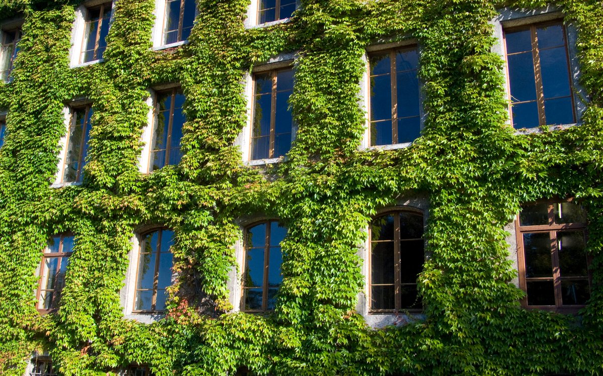 #HorizonEU #MissionClimate will help 🌍 become climate resilient by 2030.

It will support at least 150 regions better adapt to extreme weather such as floods &amp; 🔥, and share solutions to prevent loss of lives and livelihoods.

ec.europa.eu/info/files/eu-…

#EUmissions #EUGreenDeal