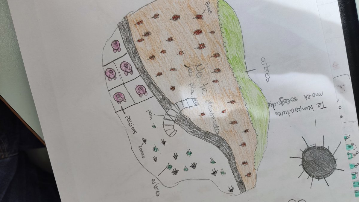 naupuig's tweet photo. Com m'agrada la meva feina!! Exemples del resultat de l'activitat amb el joc "año tranquilo", mapa del seu poble+comentari d'un paisatge rural.

Només poso els mapes que molen mil, però que sapigueu que els comentaris estan curradíssims!

#1rsector #monrural #3rdESO #abj https://t.co/hPUA7uF5TT