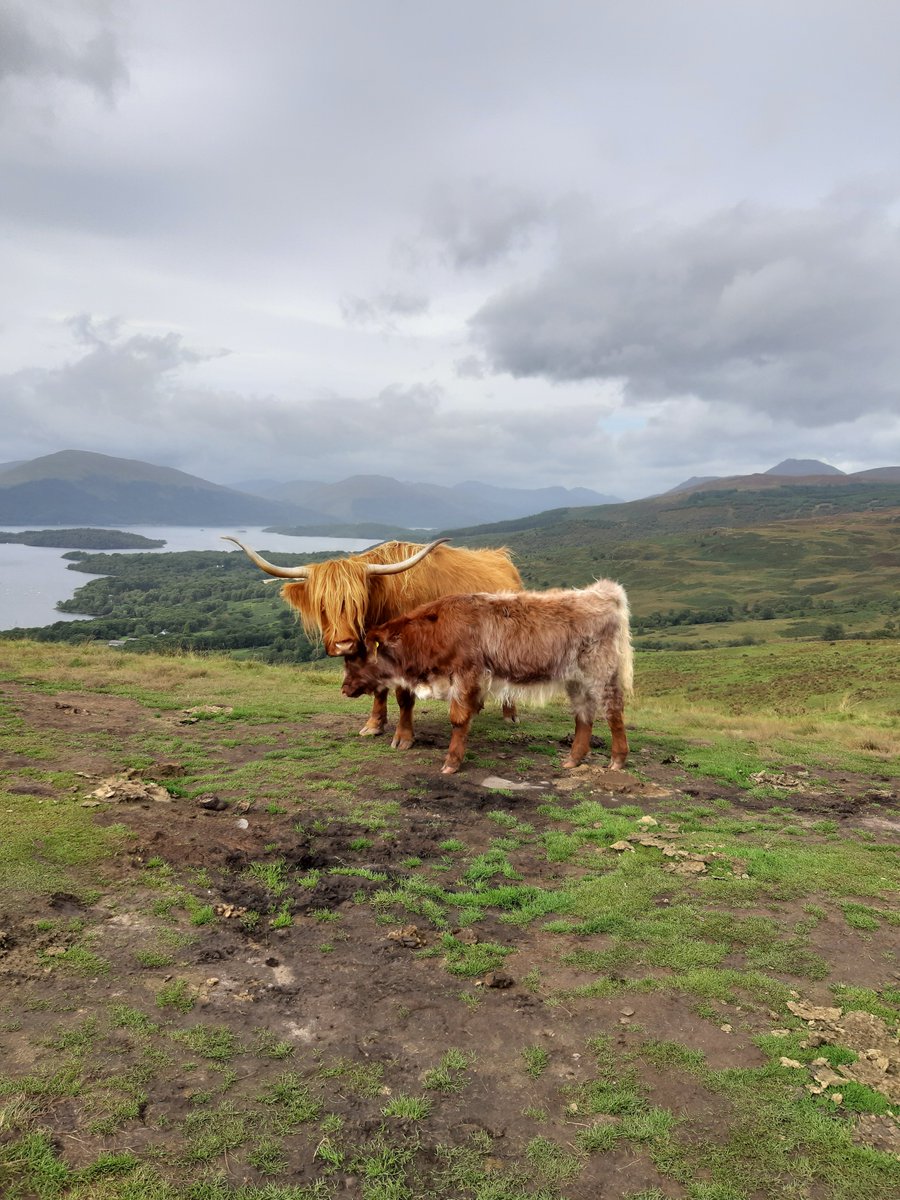 scottish_pics's tweet photo. 87 days untill #Christmas

#ChristmasCountdown #giftideas #scottishgifts 

#Scotland #tasteofscotland #Scottishsouvenirs 

Visit my online store where you can buy Scottish Pictures made into personalised gifts

#canvases #mugs #tshirts #coasters #prints 

https://t.co/4PHbQFO4I9 https://t.co/5GlgC8cFWY