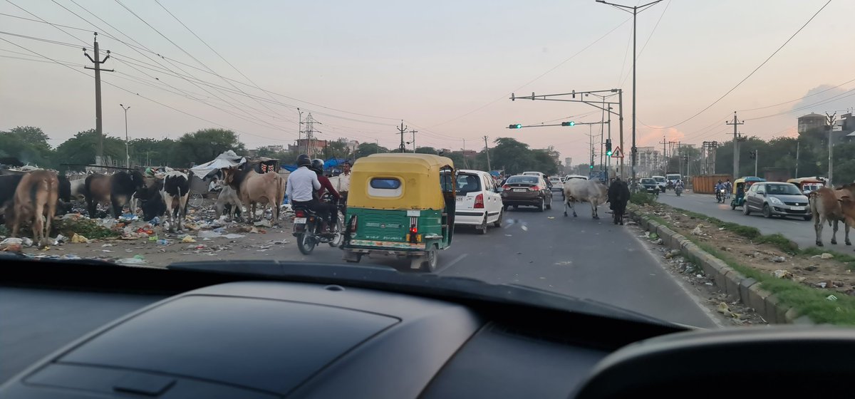 singhabhi_web's tweet photo. @Deepakbatraa @cmohry @rahulchauhann18 @mlkhattar @KPGBJP @cassbdb See the situation of roads of 10Km streach from #Faridabad #bypass starting #badarpur to #Sector86
If required can send more pics in thread. Only 4 is because of limit on this platform.
Complete mess with condition of roads and stray cattles. Mr @mlkhattar take onus and perform. https://t.co/zUBw5iz8D6