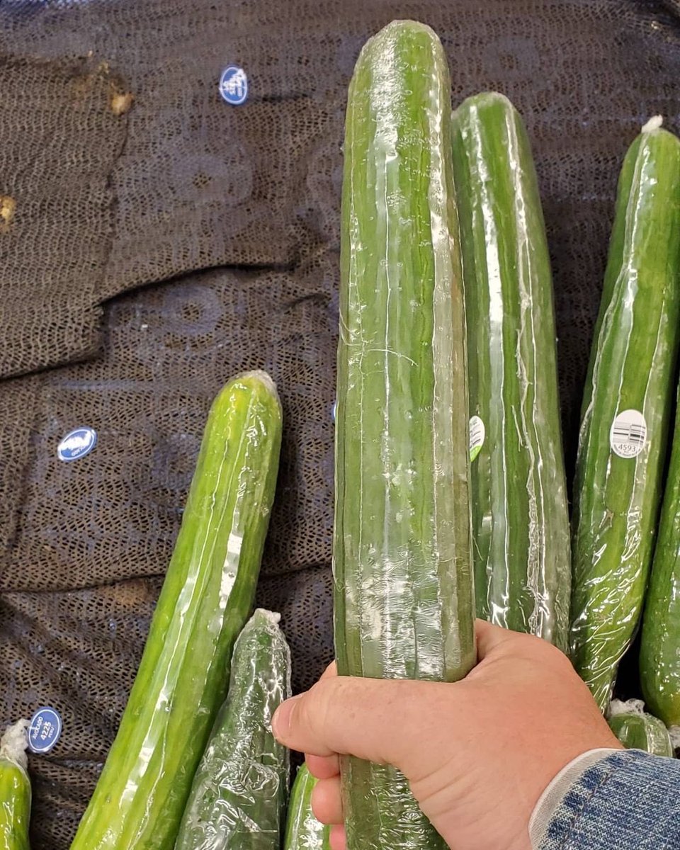 jampressltd's tweet photo. Man with ‘WORLD’S BIGGEST PENIS’ shares cheeky snap comparing it to a CUCUMBER! 😱
🎥 - Jonah Falcon
#cucumberwilly #funny #rude #cucumber #comparison #comparisonphoto #big #viral #jampress https://t.co/cfTOhVzMtt
