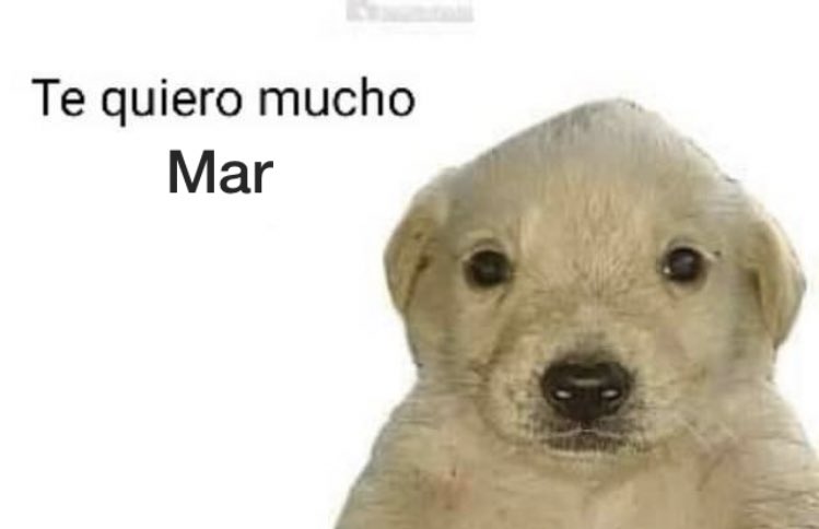 itzelvillagraan's tweet photo. ya nació el ahijado de México, felicidades a mi comadre Yuya. 👍 https://t.co/aQFAp1TDeE