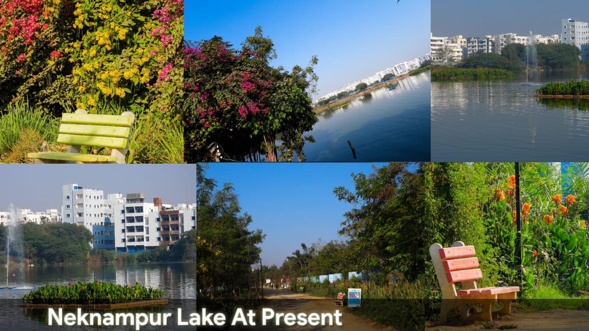 madhulika S choudhary (@madhulikas2) on Twitter photo How was the Neknampur Lake in 2016 & now at present how Neknampur Lake is flourishing?It was a time when i was standing alone at Lake to save it.Time flies.Lucky,i got an opportunity to know the power of Lake & Water.<a href="/ErikSolheim/">Erik Solheim</a> <a href="/SmitaSabharwal/">Smita Sabharwal</a> <a href="/TelanganaCS/">Office of Chief Secretary, Telangana Govt.</a> @DrTamilisaiGuv How was the Neknampur Lake in 2016 & now at present how Neknampur Lake is flourishing?It was a time when i was standing alone at Lake to save it.Time flies.Lucky,i got an opportunity to know the power of Lake & Water.<a href="/ErikSolheim/">Erik Solheim</a> <a href="/SmitaSabharwal/">Smita Sabharwal</a> <a href="/TelanganaCS/">Office of Chief Secretary, Telangana Govt.</a> @DrTamilisaiGuv