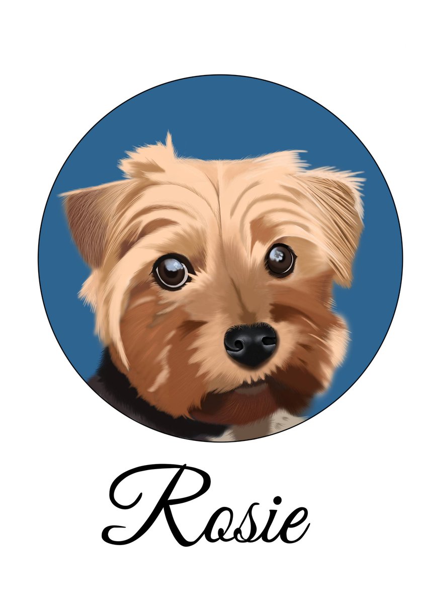 ChloeBridgewat1's tweet photo. I would love to start doing custom pet portraits for people. Here's two I've already done for friends and a little tiger for good measure.
If anyone would be interested, please send me a message to discuss price and what not ❤ https://t.co/fbUCgrBIc3