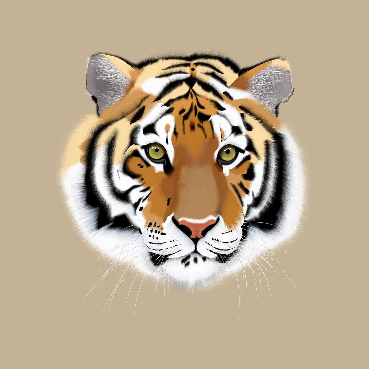 ChloeBridgewat1's tweet photo. I would love to start doing custom pet portraits for people. Here's two I've already done for friends and a little tiger for good measure.
If anyone would be interested, please send me a message to discuss price and what not ❤ https://t.co/fbUCgrBIc3