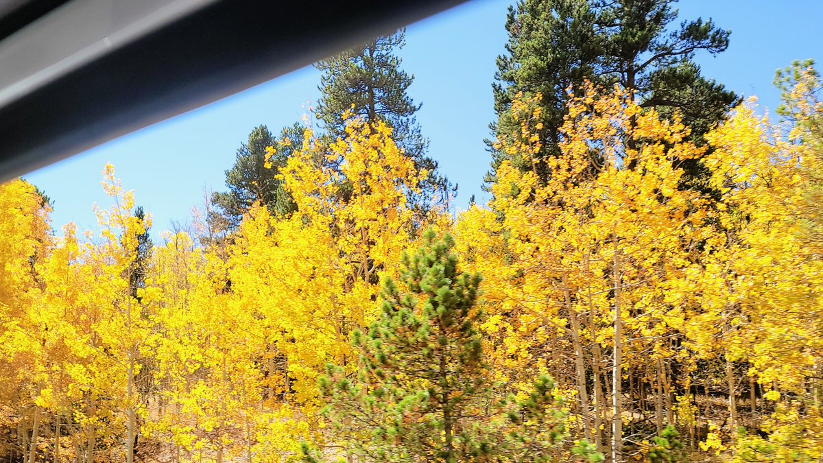 SindyDoll4's tweet photo. #Fall #Colorado #GuenellaPass #Fairplay #LeafPeeping #autumn #ColoradoGold  #RockyMountains https://t.co/AD3jkTMjKs