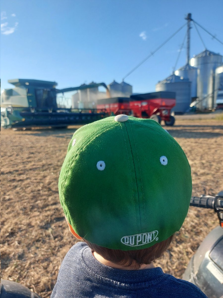 Beautiful day to finally start into some soybeans #ontag