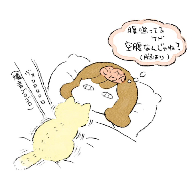 飼い主「なんかお腹空いてきた気がする」 