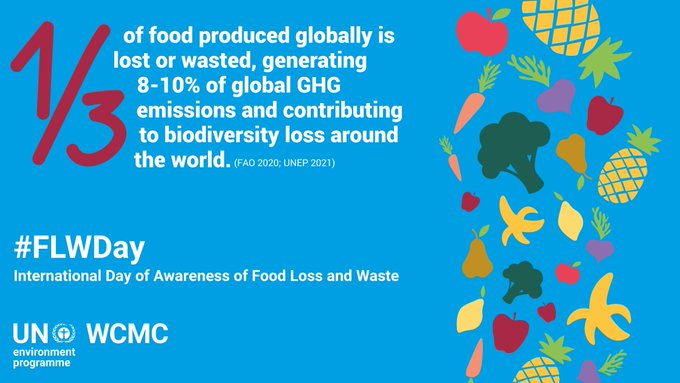 UP Faculty of Natural and Agricultural Sciences tweet media