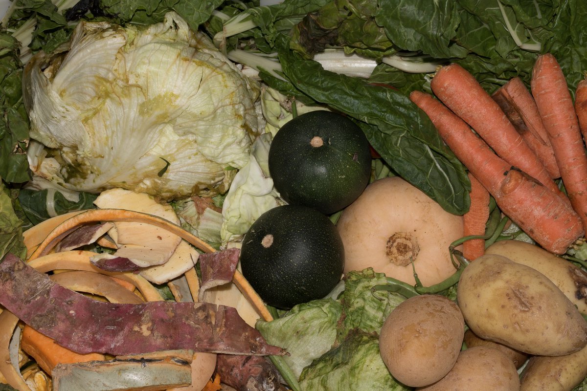 UP Faculty of Natural and Agricultural Sciences tweet media