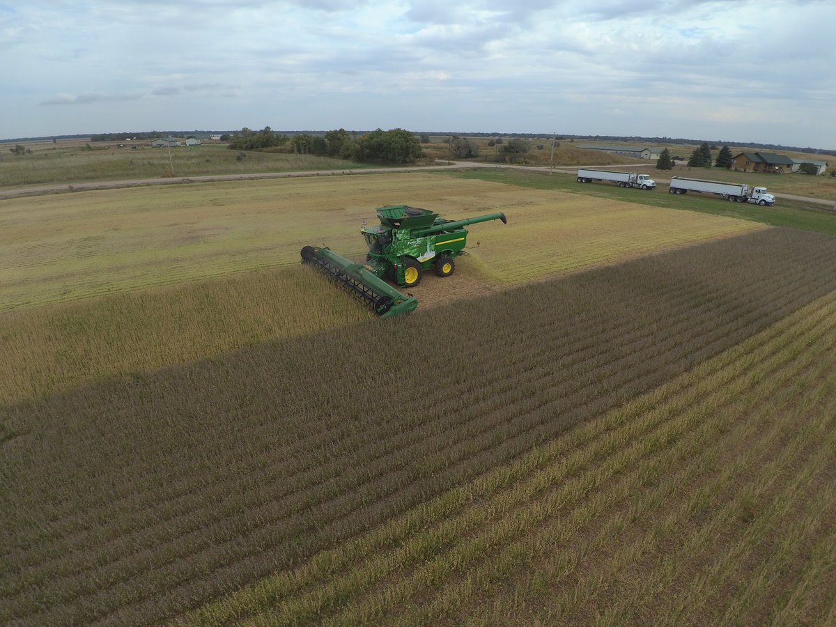 Plot day it’s great to see local Dynagro results   Thanks to LandMark Implement for combine.