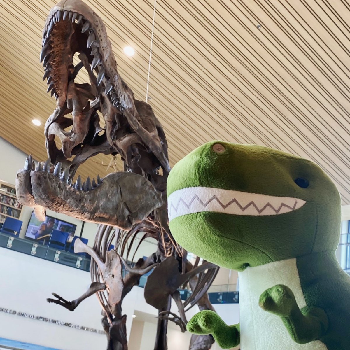 Mayer Museum (@mayermuseum) on Twitter photo The <a href="/AngeloState/">Angelo State</a> Mayer Museum is a DINO-mite place to visit! We are open today from 10-5 and would love to see you.
#angelostate #sanangelove #discoversanangelo #GoAsARam #RamFam The <a href="/AngeloState/">Angelo State</a> Mayer Museum is a DINO-mite place to visit! We are open today from 10-5 and would love to see you.
#angelostate #sanangelove #discoversanangelo #GoAsARam #RamFam