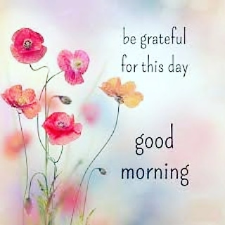 abc_advisors's tweet photo. Good morning Team Atlas...it's a beautiful Wednesday morning. Wishing you all a wonderful day! https://t.co/j11St56Bxg https://t.co/9Kb2AezKry
