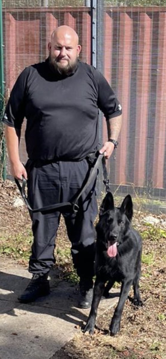 DogsHmpps's tweet image. Meet Ray and Kaiser, who started @HMPFullSutton last week on their initial Patrol Dog Course. Best of luck guys and keep us posted! #OperationalDogs #WorkingDogs #K9 #PrisonDogs