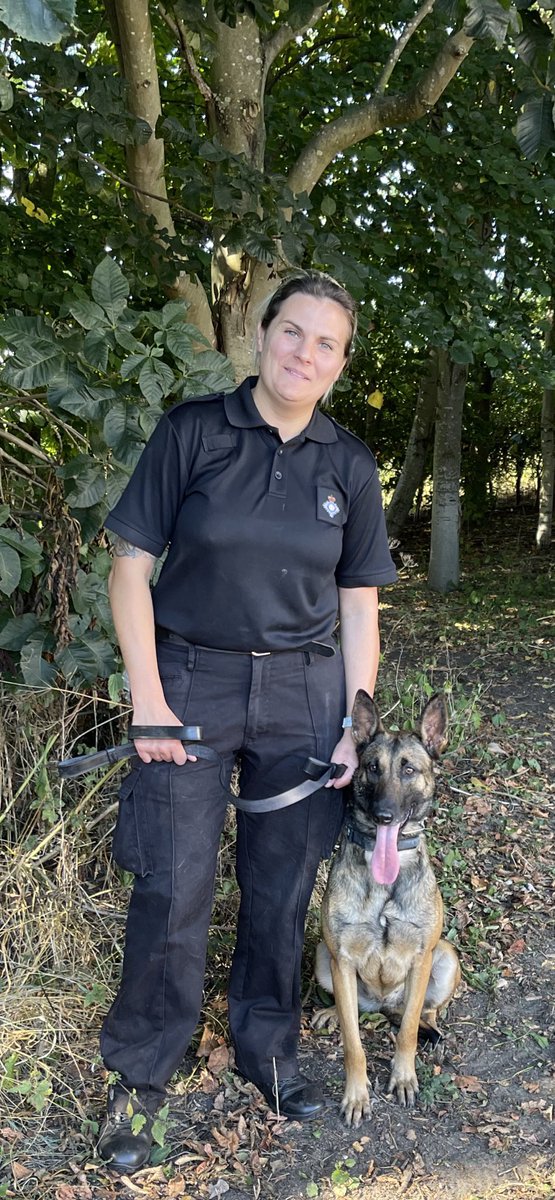 DogsHmpps's tweet image. Meet Ray and Kaiser, who started @HMPFullSutton last week on their initial Patrol Dog Course. Best of luck guys and keep us posted! #OperationalDogs #WorkingDogs #K9 #PrisonDogs