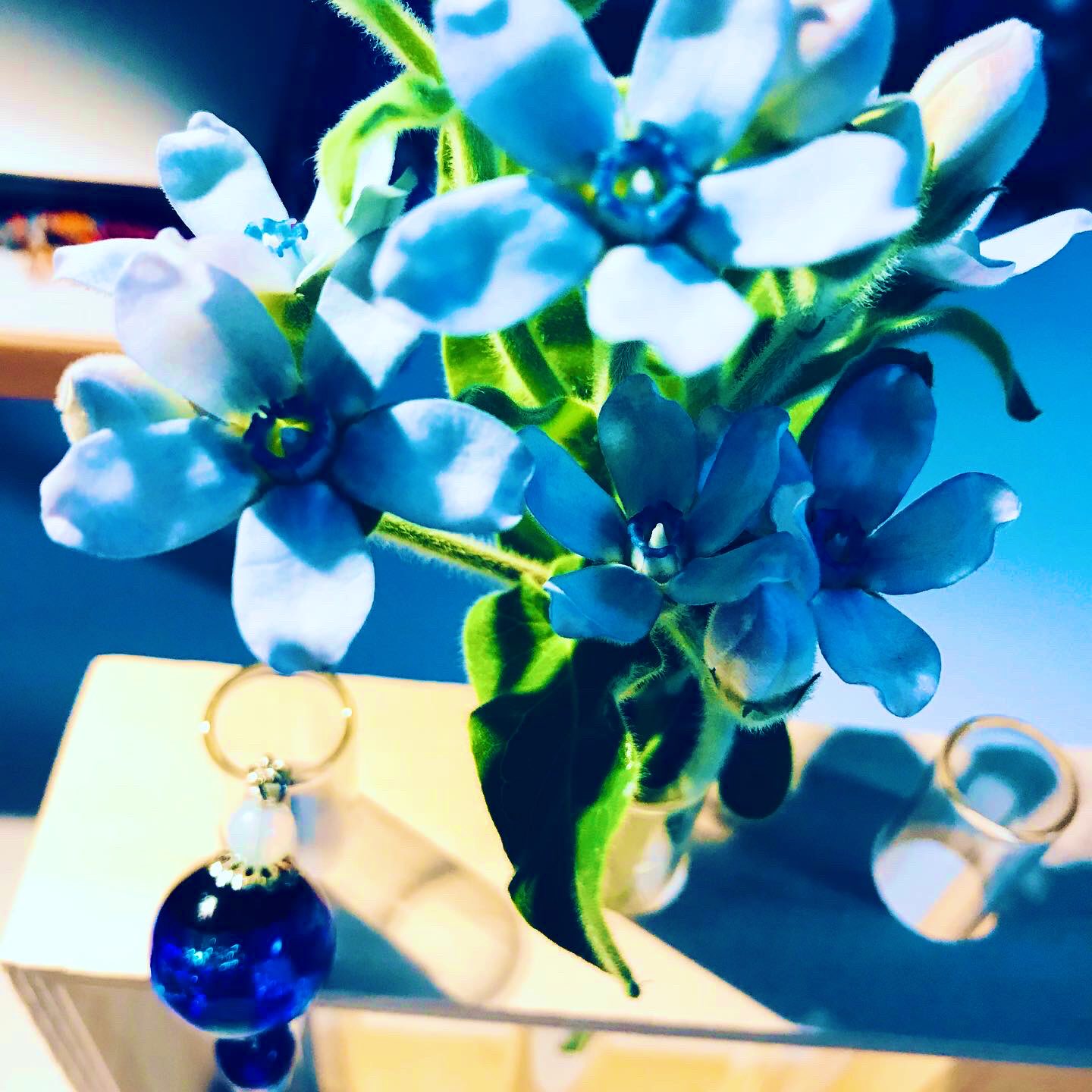 水色のお花 Twitter Search Twitter
