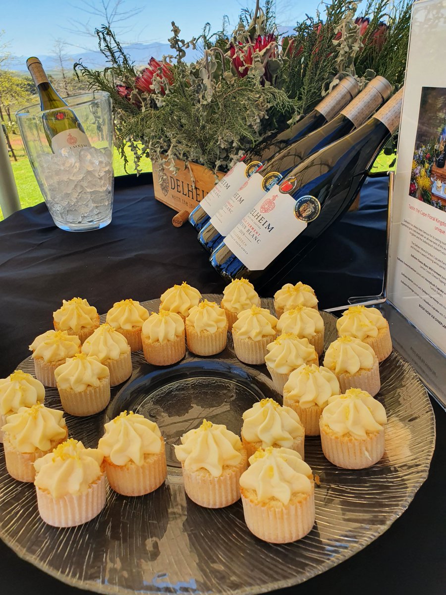 The 50th wine farm became a <a href="/WWFSouthAfrica/">WWF South Africa</a> Conservation Champion. On the hike <a href="/VondelingWines/">Vondeling Wines</a> I learned that humps, not trenches, best curtail erosion. How to control a burn and conserve fynbos. And that boegoe cupcakes and <a href="/Delheim/">Delheim</a> Chenin Blanc is delicious #natureandwine