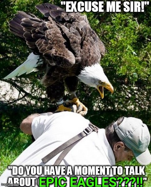 Epic_Eagles's tweet photo. Gm Eagles

We are so appreciative of your passion &amp; enthusiasm!
Let's continue to spread the word about our positive &amp; inclusive convocation!

CAW CAWWWW

#EpicEagles #FollowTheFlock #EaglesUnited https://t.co/hJT7qPEpvv