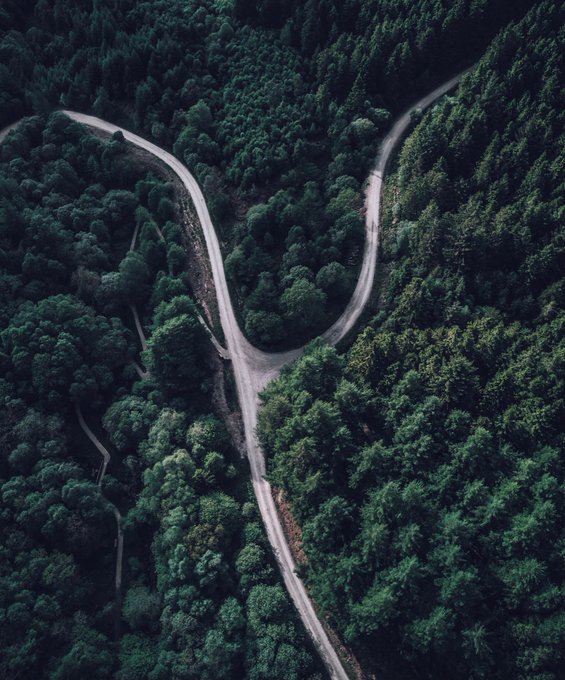 ムーミンのtwitterイラスト検索結果