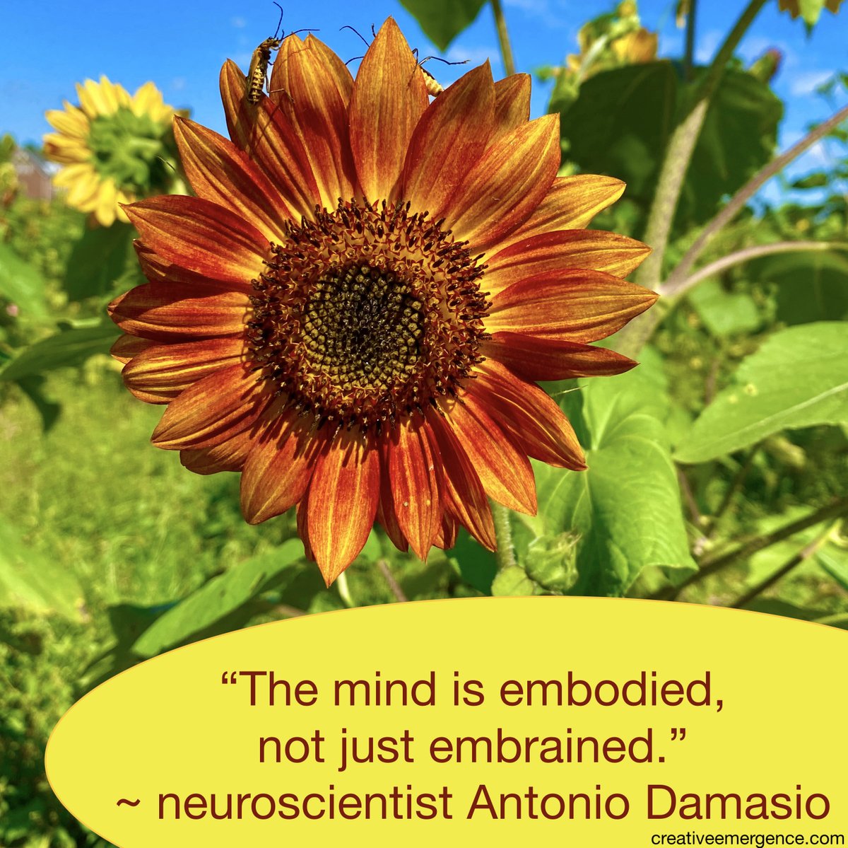 CreatvEmergence's tweet photo. #embodiment #intelligentbody https://t.co/LUBG2jdnMn