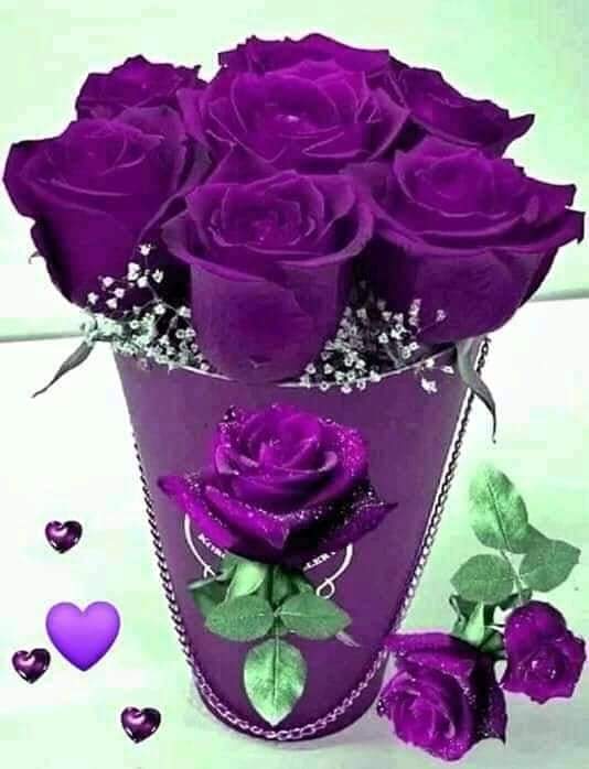 MaVictoria_Schz's tweet photo. https://t.co/8sjBOWPSwu