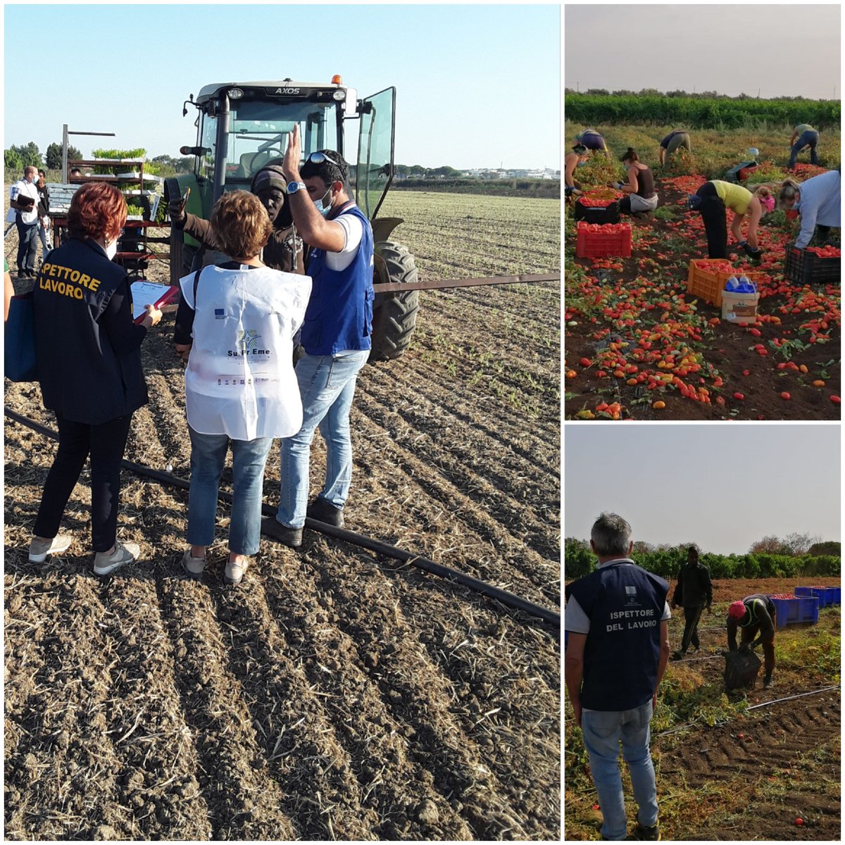 INL_gov's tweet image. L'Ispettorato del Lavoro di Crotone ha effettuato  un'attività di vigilanza straordinaria per il Progetto #SuPrEme.
Controllate 25 aziende di cui 17 irregolari. Su 128 lavoratori 34 risultati #innero. 
Sospese 4 attività e denunciati 2 imprenditori.

➡️bit.ly/3AUMML9