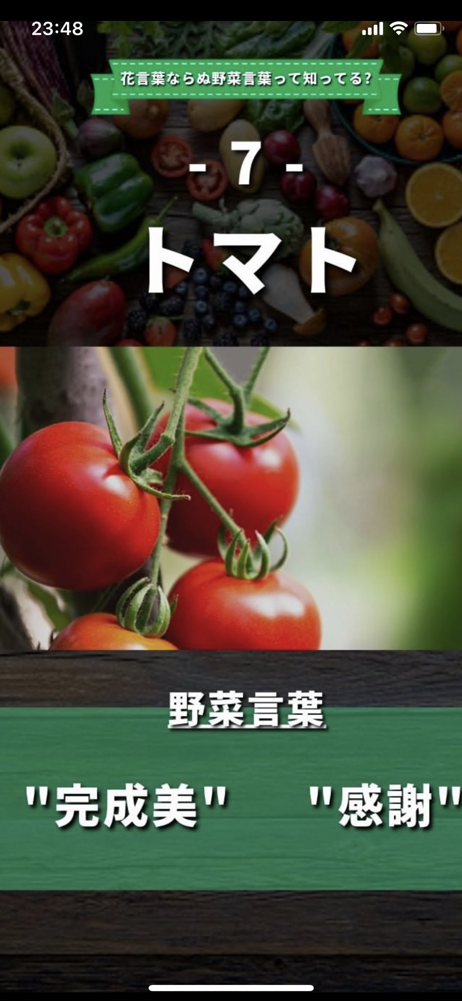 完成美 Twitter Search Twitter