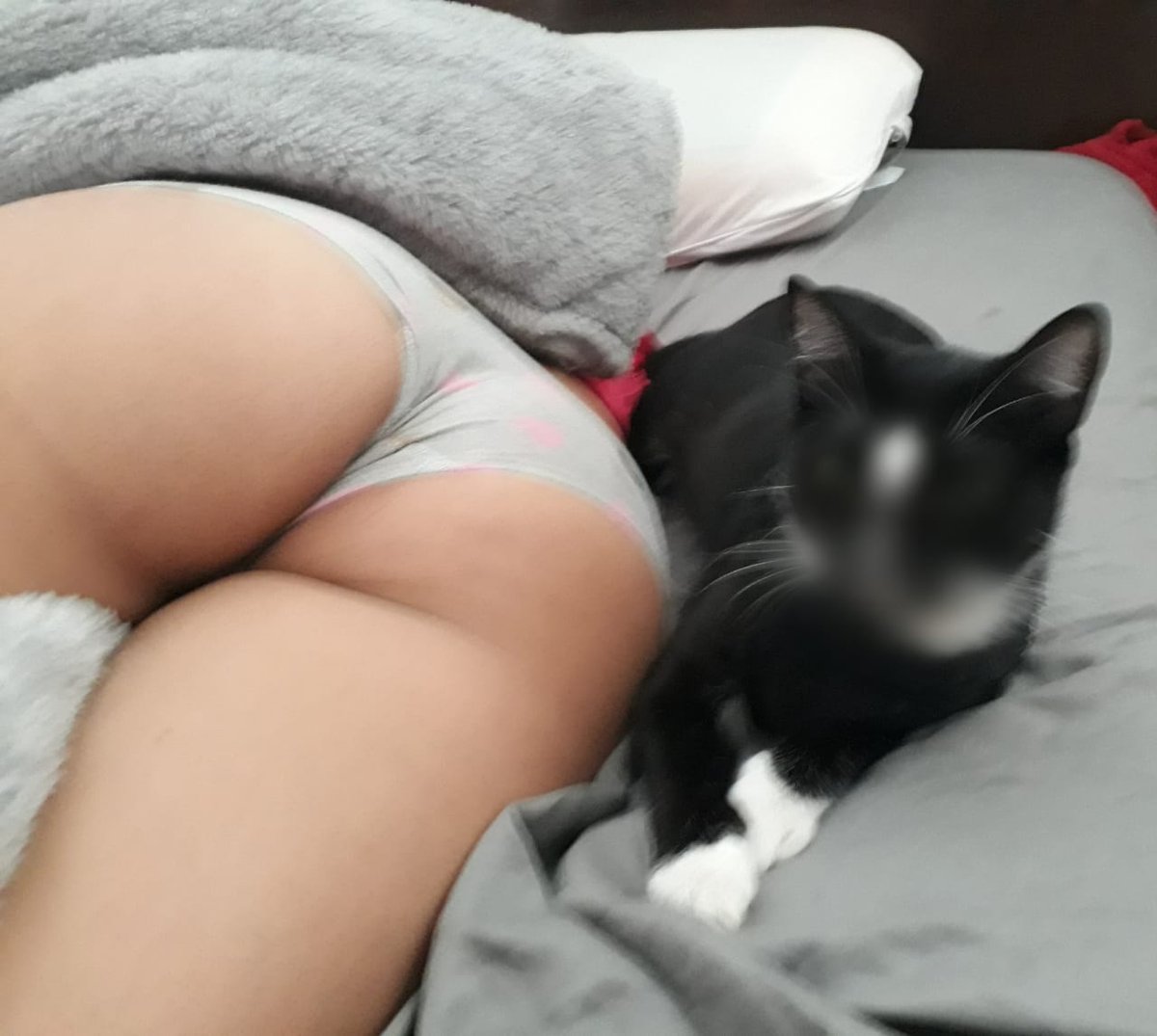SlavichVane's tweet photo. Me pareció ver un lindo gatito 🙀 https://t.co/bJPrWnFNKT
