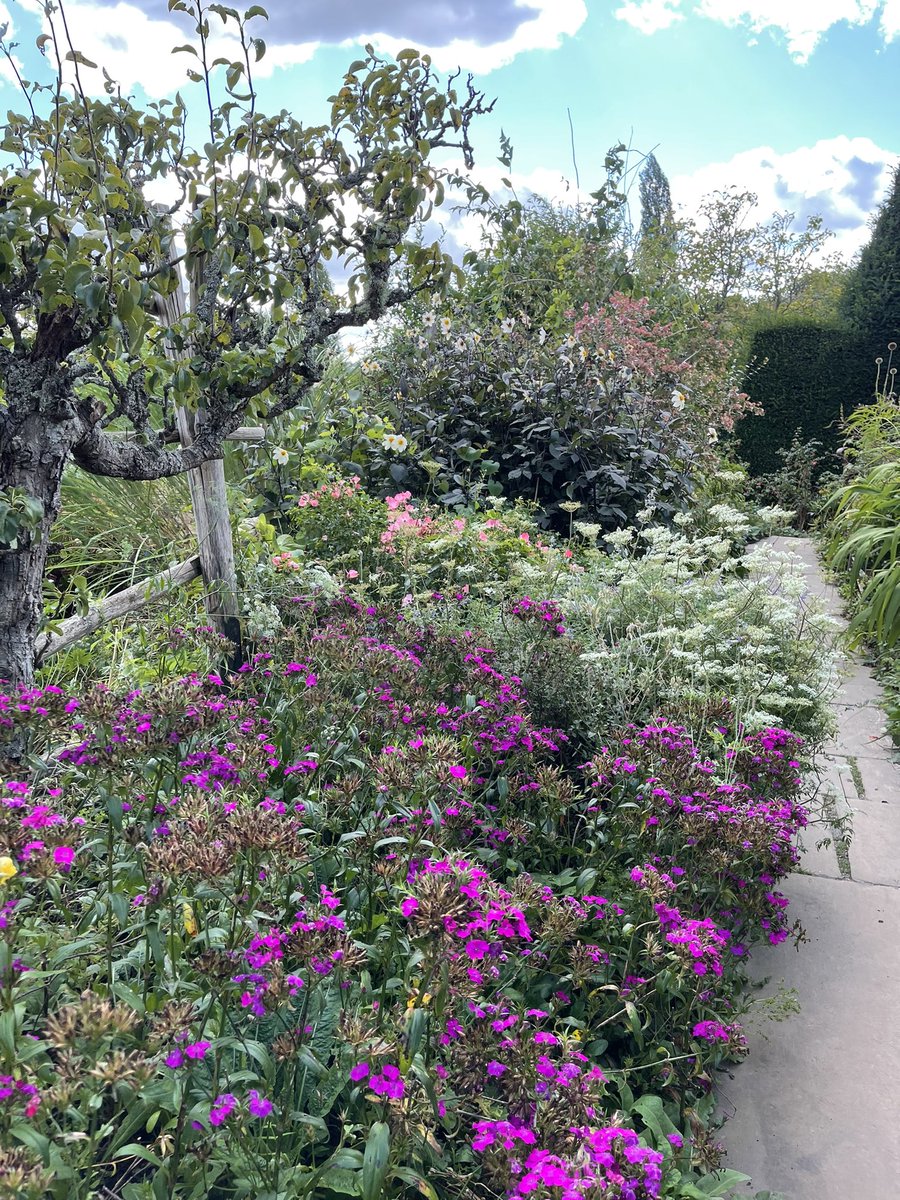 💙 Charmaine Hardy 💙 (@charbhardy) on Twitter photo Wonderful trip to <a href="/GreatDixter/">Great Dixter</a> this afternoon. Looking lovely in the autumn sunlight. Wonderful trip to <a href="/GreatDixter/">Great Dixter</a> this afternoon. Looking lovely in the autumn sunlight.