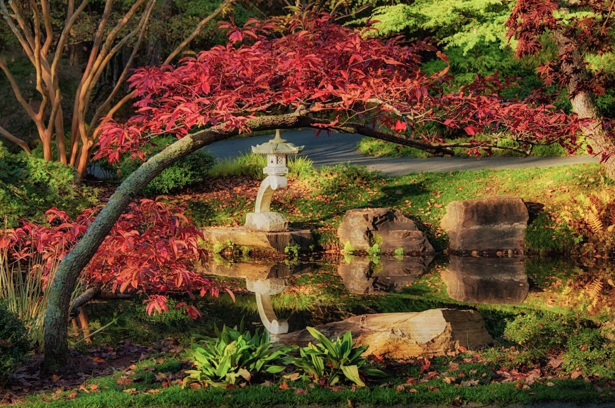 A magical experience awaits at Gibbs Gardens' Japanese Garden | Read more: tinyurl.com/yewuttwc | #autumn #garden #tourism #travel
