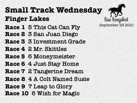 lisalongshot's tweet image. Small Track Wednesday! Good Luck 🍀 #lisalongshot #betresponsibly #supportlocaltracks