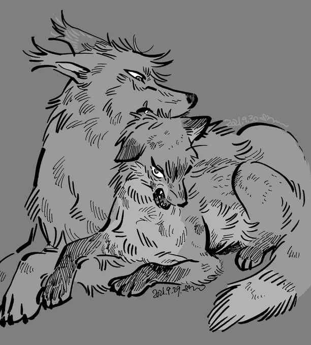 ケンカしてるやつ (獣化) 
