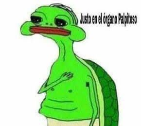 Chamacade_porra's tweet photo. High and dry #PoderosoCaun https://t.co/zJkgQchuPC