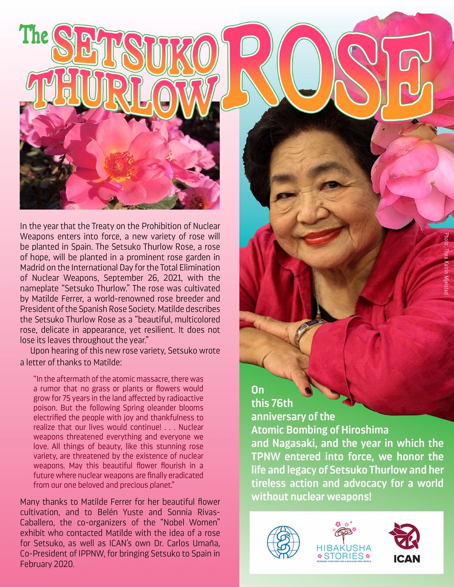 nuclearban's tweet photo. As of yesterday, her legacy shall bloom also in a more literal sense: the Setsuko Rose was bred by world-renowned breeder Matilde Ferrer as a multicolored rose that does not lose its leaves throughout the year. Read all about the rose here. https://t.co/sDZc3VUsD5