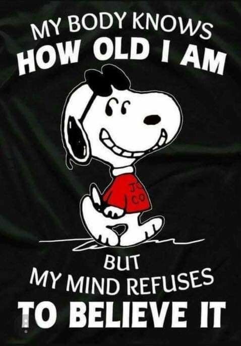 BroMockingbird's tweet image. Hopefully we never have to act our age.

#Reading #Writing #Publsihing #ActingYourAge #Positivity #PositiveThoughts