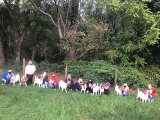 PageCountyHighSchool tweet media